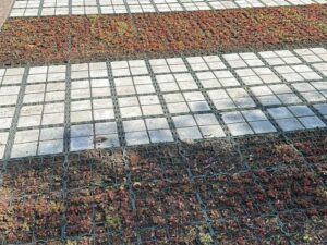 GreenMatter ecoraster bloxx project