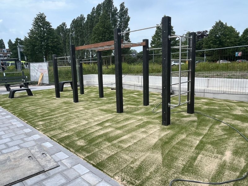 GreenMatter calisthenics monkeybar